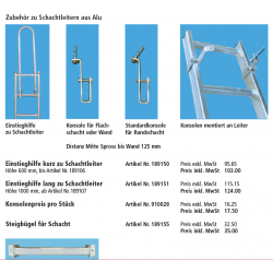 Typ 189 Schachtleiter aus Alu 10 Sprossen